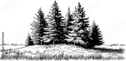 Engraved forest scene with mossy patch - vintage decorative art for design