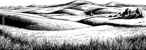 Engraved prairie landscape illustration - vintage decorative design for art and decor