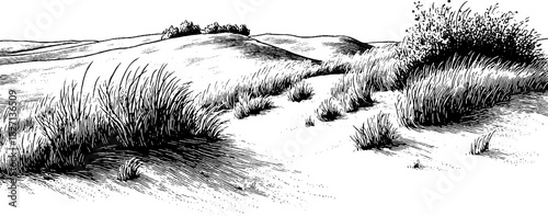 Engraved prairie landscape illustration with decorative elements for design