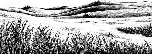 Engraved decorative prairie landscape illustration for vintage design