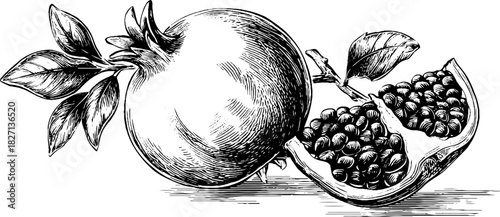 Vintage engraved ripe pomegranate illustration with split fruit design