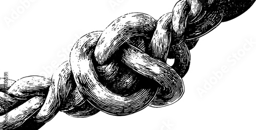 Intricate rope knot engraving for nautical-themed decorative design