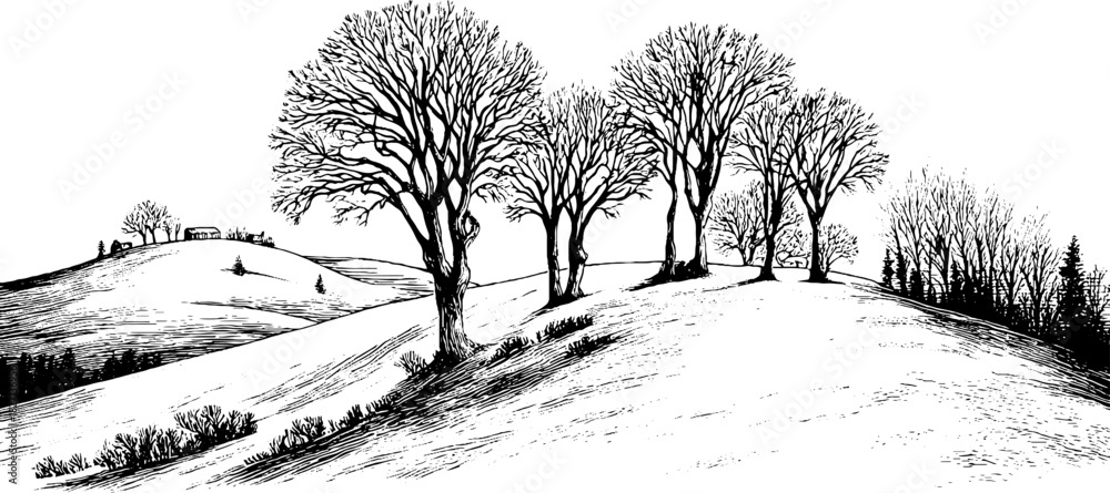 Fototapeta premium Winter landscape scene with snowy hillside and bare trees in engraved decorative style