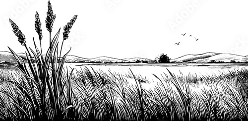 Decorative engraving of wild meadow horizon with grasses and distant hills