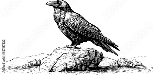 Engraved alpine raven perched on rock - vintage hand-drawn decorative illustration