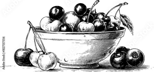 Antique style decorative still life of cherries and bowl in engraved illustration for vintage art design