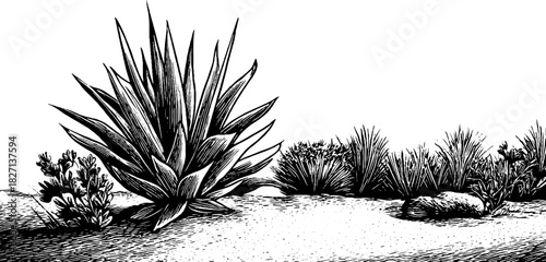 Engraved decorative illustration of arid landscape corner ornament for design