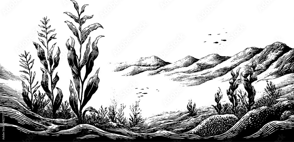 Naklejka premium Engraved decorative illustration of an underwater landscape in vintage style