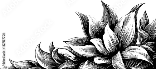 Engraved decorative ornamental border design vintage sketch hand drawn engraving. Classic ornate frame.
