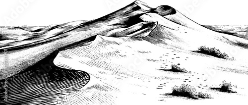 Vintage engraving of dune ridge patterns in desert landscape for retro design and decoration