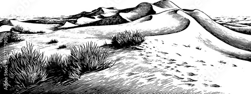 Engraved decorative dune ridge patterns illustration for design projects