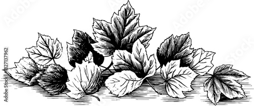 Decorative engraving of fallen autumn leaves for seasonal design