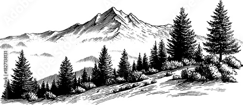 Vintage engraved mountain scene with pine trees silhouette for retro design