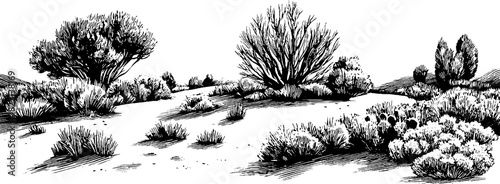 Hand-drawn engraving of rugged heathland landscape for nature design