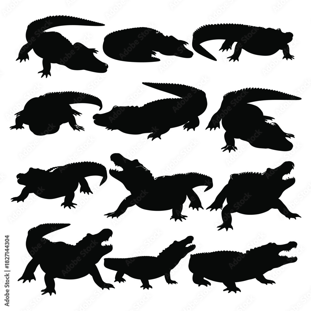 Naklejka premium Isolated collection of alligator and crocodile silhouettes in various wild poses. Vector