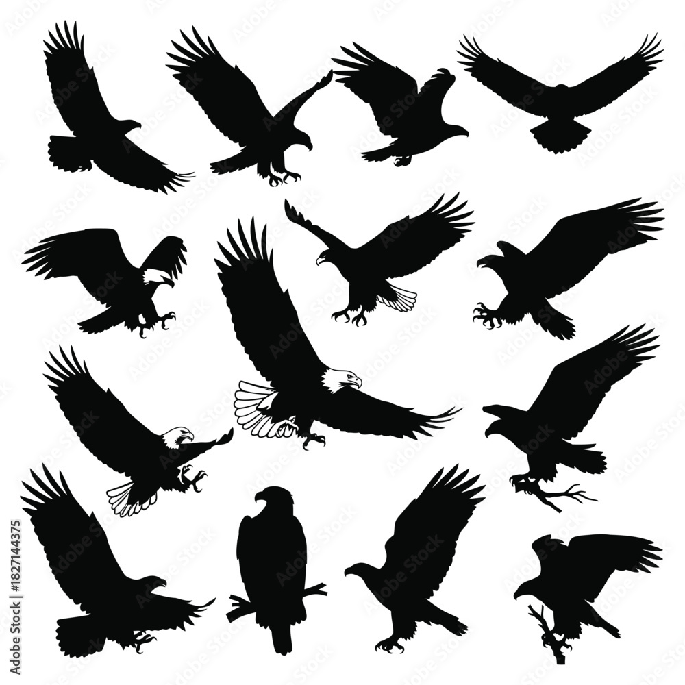Obraz premium Eagle silhouettes collection, various poses: flying, landing, perched, isolated. Vector