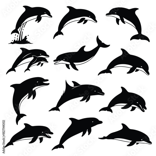 Dolphin silhouettes vector set in various poses, marine animal icons, sea life graphic elements Vector