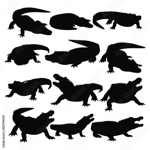 Isolated collection of alligator and crocodile silhouettes in various wild poses. Vector