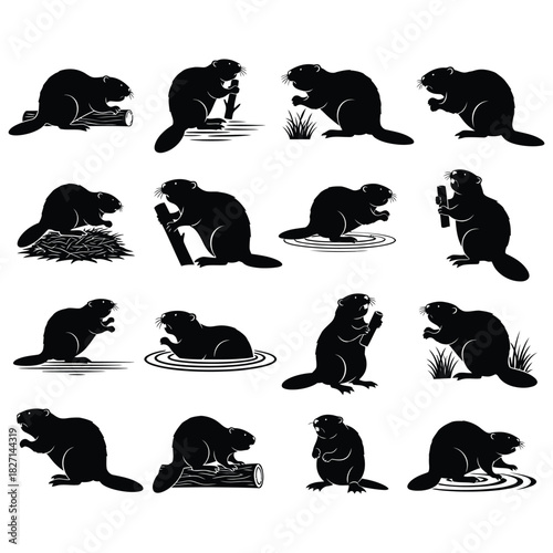Beaver silhouettes collection: active rodents working, playing, and swimming Vector