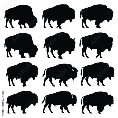 American bison buffalo vector silhouettes in different poses, isolated on white Vector