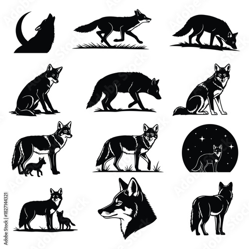 Collection of wild canid silhouettes, featuring wolves and coyotes in various poses. Vector