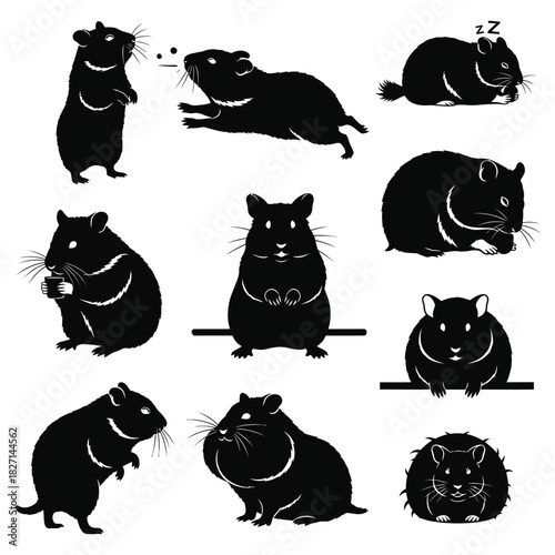 Hamster vector silhouette set in various poses, cute small rodent pet collection Vector