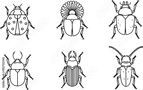 Set of six distinct beetle species line art illustrations, depicting various insect forms and features, isolated on transparent background