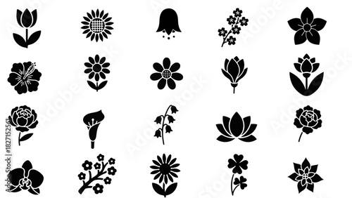 set of vector silhouettes of plants