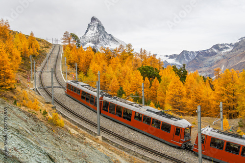 Gornergrat Cog Railway Red Train, Matterhorn Mountain and Yellow Golden Larches in Autumn. Fall Colors. Swiss Alps. Zermatt, Valais, Switzerland