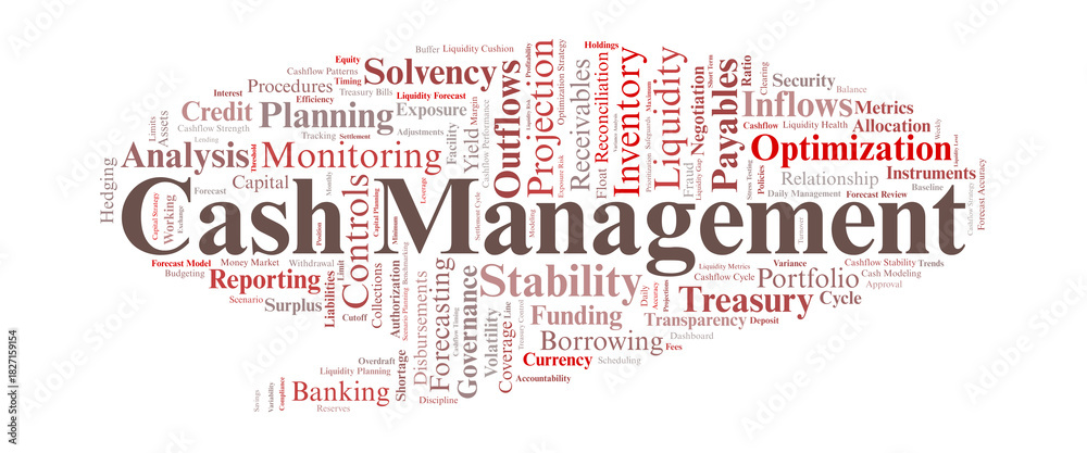 Fototapeta premium Cash Management Word Cloud. Core Terms on Liquidity, Treasury Operations, and Financial Control