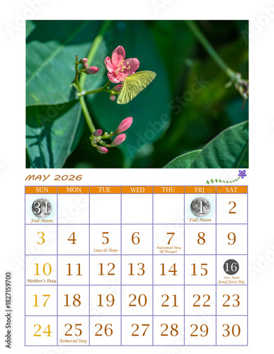 Year 2026 Butterfly Theme Calendar | Ready to Print Office Calendar 2026 | USA Calendar for General Reference