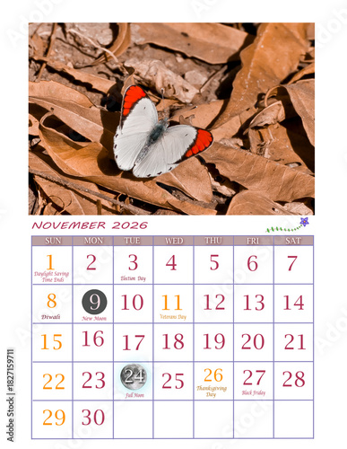 Year 2026 Butterfly Theme Calendar | Ready to Print Office Calendar 2026 | USA Calendar for General Reference