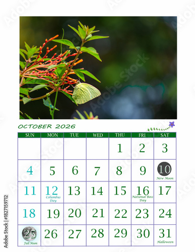 Year 2026 Butterfly Theme Calendar | Ready to Print Office Calendar 2026 | USA Calendar for General Reference