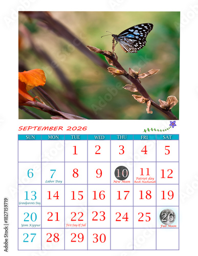 Year 2026 Butterfly Theme Calendar | Ready to Print Office Calendar 2026 | USA Calendar for General Reference