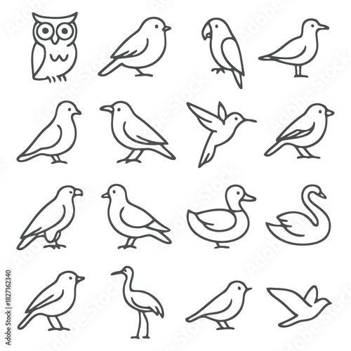 Line Art Bird Collection: A minimalist set of line art birds including various types. the diverse collection shows the elegance and simplicity.  