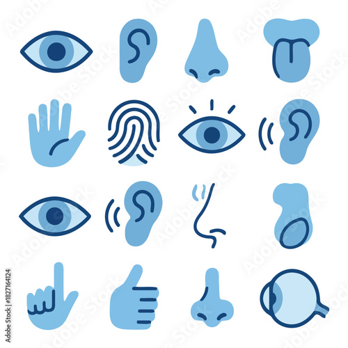 Senses Icons: A visually informative collection of icons representing the five senses, eye, nose, ear, tongue, skin in a clean and simple style. 