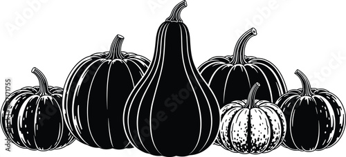 Autumn harvest collection of pumpkins and gourds in detailed black and white illustration perfect for seasonal design, decoration, and Thanksgiving themes