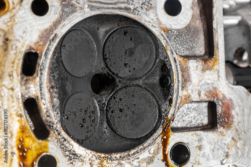 A disassembled cylinder head of a modern engine, showing the valves and springs, internal combustion engine repair