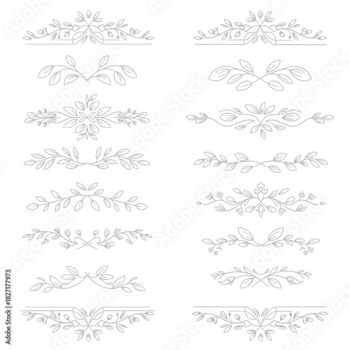 Elegant floral decorative borders and dividers crafted with delicate botanical elements for sophisticated design projects and invitations