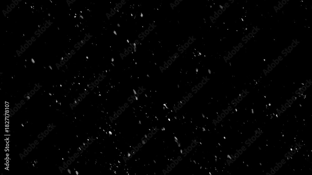 Fototapeta premium Winter freeze motion of white snow coming down, isolated on black background. Snowfall texture overlays.