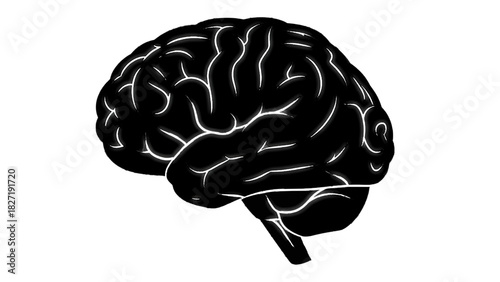 Vector illustration of silhouette illustration of human brain side view isolated on transparent background