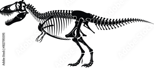 Tyrannosaurus Rex dinosaur skeleton silhouette vector illustration, black prehistoric fossil bone structure isolated on white background for science and museum design.