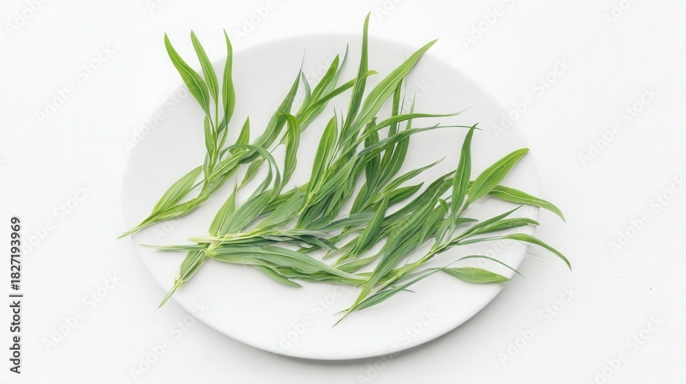 Fototapeta premium Fresh tarragon leaves on a white plate. Generative AI