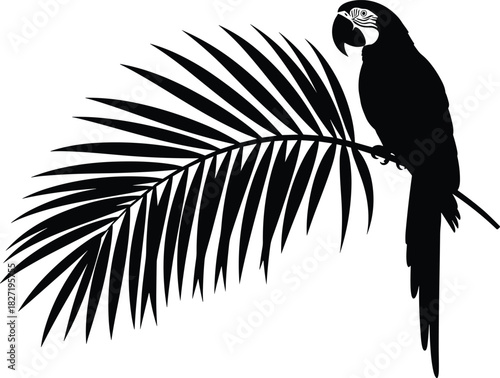 Tropical macaw parrot bird silhouette sitting on a large palm leaf branch, black and white vector illustration, jungle animal and exotic nature design element, isolated on white background