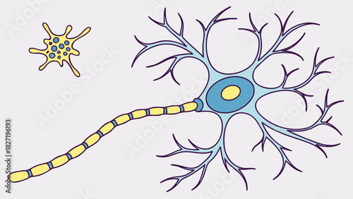Illustration of a neuron cell in a simple vector style