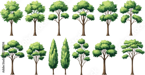 Collection of various cartoon green trees, vector forest plant icons isolated on white background for nature landscape and game design.