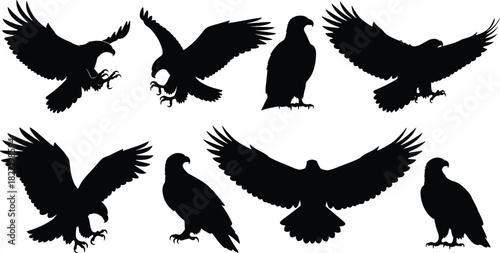 Eagle silhouette vector collection, flying bird of prey icons, black hawk symbols, and predator animal isolated on white background for nature logo design.