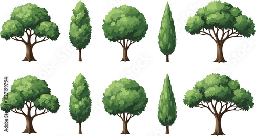 Set of cartoon green trees including oak and cypress, vector forest plant icons isolated on white background for landscape design.