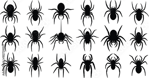 Vector illustration of black spider silhouette set, scary arachnid icon collection, halloween design element, isolated creepy bug on white background, poisonous tarantula symbols.