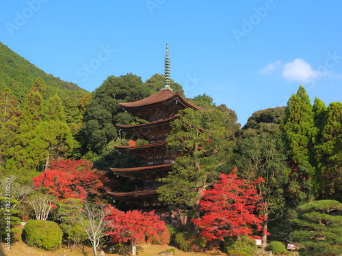瑠璃光寺（山口県）の紅葉4